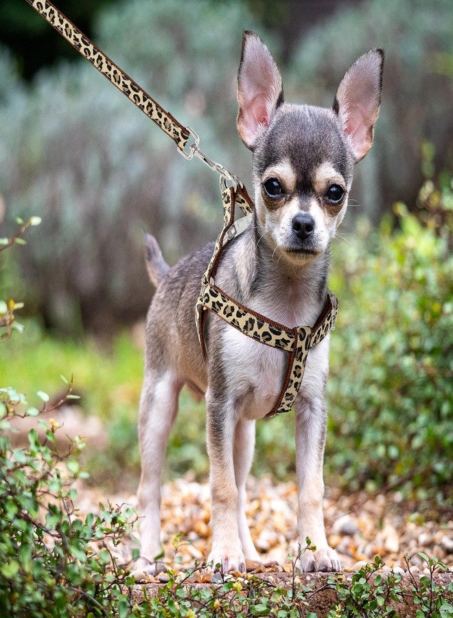 مايل هاي لايف طقم طوق ومقود للكلاب من مايل هاي لايف بنقشة جلد النمر، طوق قابل للتعديل يمنع الشد، مناسب للكلاب الصغيرة، سهل التحكم أثناء التدريب والمشي (بني، مقاس متوسط، محيط الصدر 15-21 بوصة، محيط الرقبة 13-17 بوصة). - Image 4